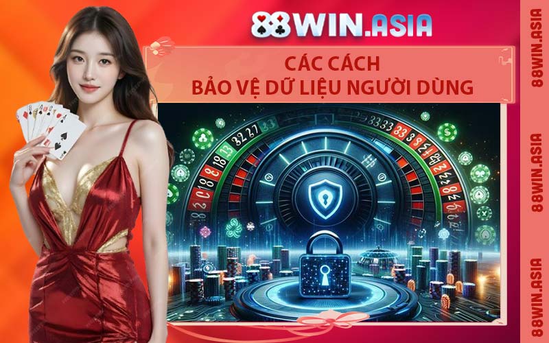 Các Cách Bảo Vệ Dữ Liệu Người Dùng